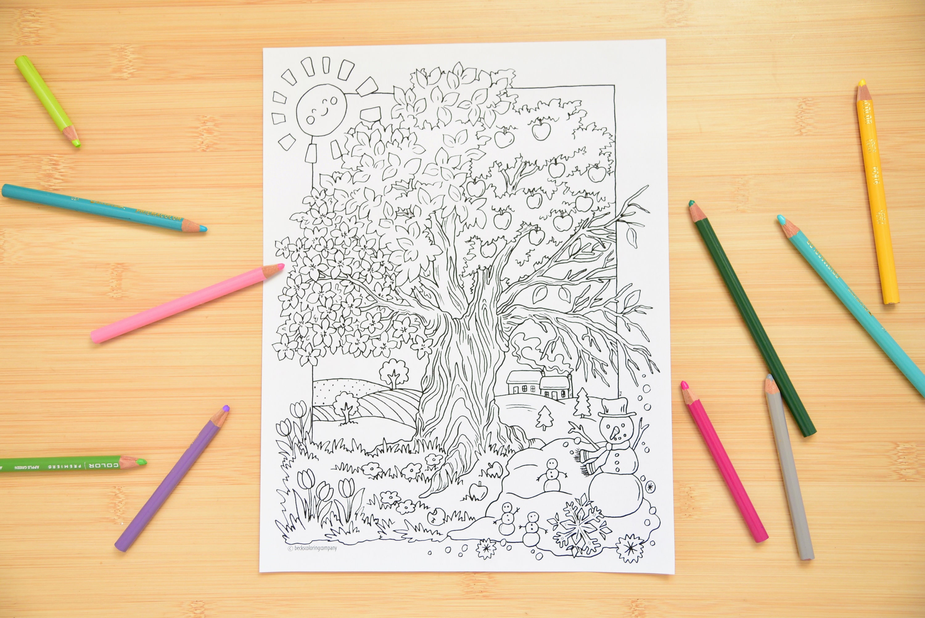 FOUR SEASONS Tree Coloring Page - Printable Page -seasonal Art Coloring ...