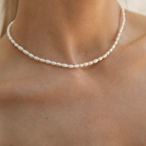 Small choker shop