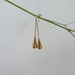 Gold Waterdrop Earrings - 18K Gold Drop Earrings - Minimalist Gold Earrings - Tarnish Free Jewellery 