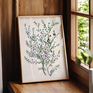 Estampado botánico vintage de flores, arte mural de flor de cera, decoración floral estilo cottagecore, ilustración botánica antigua 10