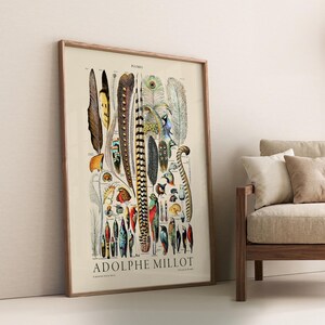 Plumes Feathers, Vintage Birds Art, Adolphe Millot, Neutral Poster, Botanical Prints, Aesthetic Room Decor, Wedding Gift, Nature Wall Art image 2
