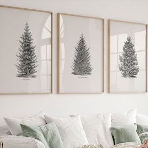 Set of 3 Forest Print, Norway Spruce Tree, Christmas Wall Decor, Vintage Winter Poster , Pine Tree, Vintage Nature Art, Nordic Forest