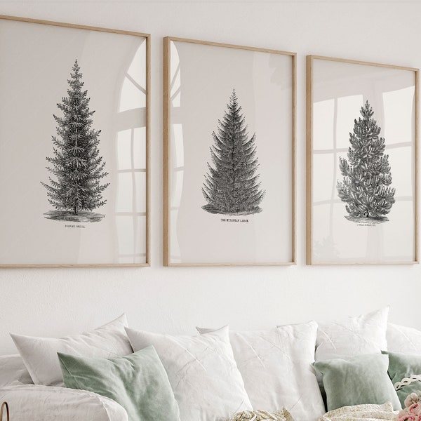 Set of 3 Forest Print, Norway Spruce Tree, Christmas Wall Decor, Vintage Winter Poster , Pine Tree, Vintage Nature Art, Nordic Forest