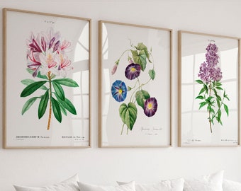 Antique Botanical Print Set: Vintage Wildflower Illustration Art, Set of three prints