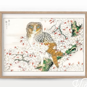 Owl Art Print, Vintage Bird, Japanese Wall Art, Vintage Owl, Cherry Blossoms, Antique Asian Art, Wedding Gift, High Quality Paper