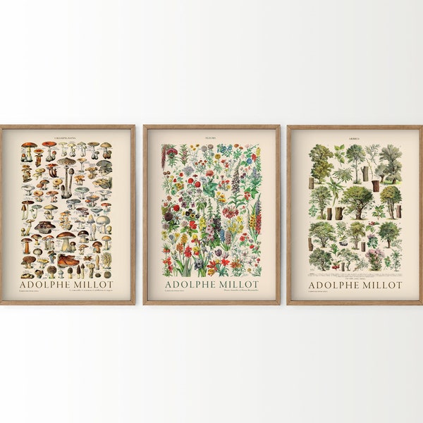 Set of 3 Botanical Poster, Adolphe Millot, Mushroom Print, Vintage Flower Chart, Pine Tree, Food Art, Kitchen Art Gallery, Nordic Forest
