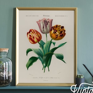 Impression d'art tulipes, art mural tulipe vintage, floral vintage, décoration de chambre de femme, plantes botaniques, impression de feuilles, papier de haute qualité - 42