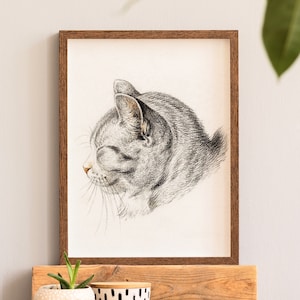Cat Lover Gift, Cat Print, Cat Artwork, Pet Wall Art, Pet Cat Poster, Cat Vintage, Cat Portrait, Animal Wall Art, Vintage Cat