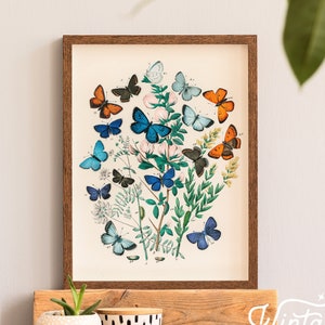Póster de mariposas, arte de pared vintage, decoración de dormitorio, decoración de habitación de niña, ilustración de mariposas, impresiones botánicas, idea de regalo para hija