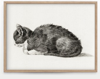 Vintage Sleepy Cat Illustration, 1828 Jean Bernard, Cat Print