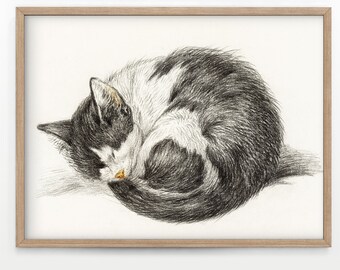 Vintage Cat Print, Sleeping Kitten, Animal Wall Art