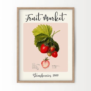 Aardbeienprint Retro fruit muurkunst Boerderij print roze rode kleuren Antieke fruitkaart Vintage botanische illustratie Fruitmarkt