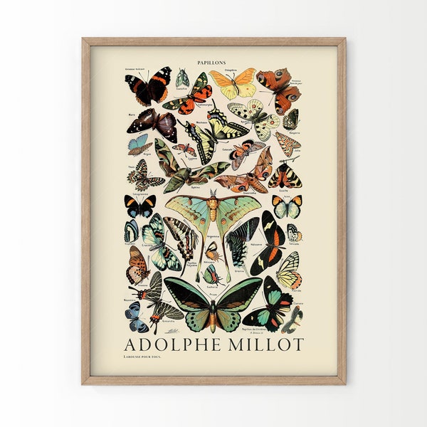 Vintage Butterflies Print, Adolphe Millot, Papillon Wall Art, Butterfly Decor, Nursery Art, Cottagecore Decor, Nature Paintings, Farmhouse