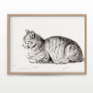 Cat Wall Art, Cat Poster, Cat Vintage, Cat Lover Gift, Cat Print, Pet Wall Art, Cat Portrait, Animal Wall Art, Vintage Cat - 6