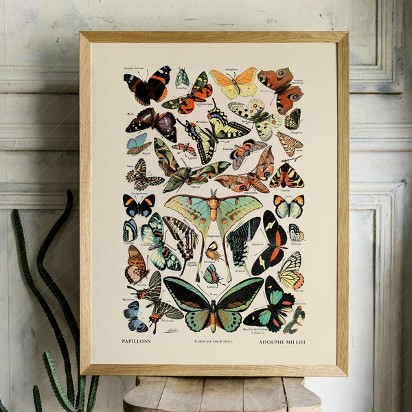 Cartel de mariposa de Adolphe Millot, impresión de arte de ilustración vintage