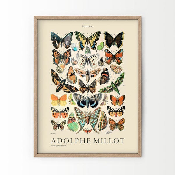 Vintage Butterfly Print, Adolphe Millot Poster, Papillon Wall Art, Vintage Nursery, Daughter Gift, Teen Room Decor, Botanical Prints Chart
