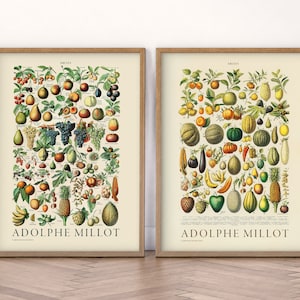 Set van 2 keukenprint, groentenposter, fruitprint, vintage voedselkaart, tropisch fruit, Adolphe Milot, cadeau nieuw huis, ontbijtruimte