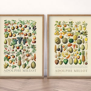 Set of 2 Kitchen Print, Vegetables Poster, Fruits Print, Vintage Food Chart, Tropical Fruits, Adolphe Milot, New Home Gift, Breakfast Area