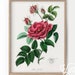 see more listings in the Floral Wall Art section