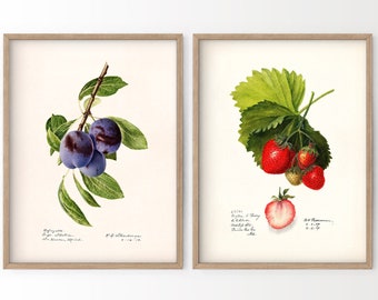 Fruit Art, Strawberry Print, Blueberry Wall Art, Set of two, Kitchen Wall Decor, Berries Art, Farmhouse Decor, Botanical Art, Vintage Fruits