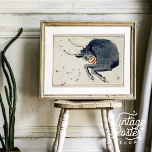 Signe du taureau, cadeau d'anniversaire, signe astrologique, horoscope, art du zodiaque, anniversaire de mai, constellation, cadeau taureau, idée cadeau
