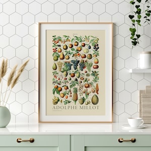Vintage Obst Druck, Adolphe Millot Obst Karte, Küchen Kunst, Botanische Kunstdrucke, Tropische Früchte Poster