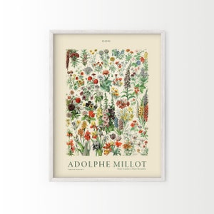Flower Print, Adolphe Millot Poster, Vintage Flower Poster, Botanical Wall Art, Vintage Plants, Gift Idea image 3