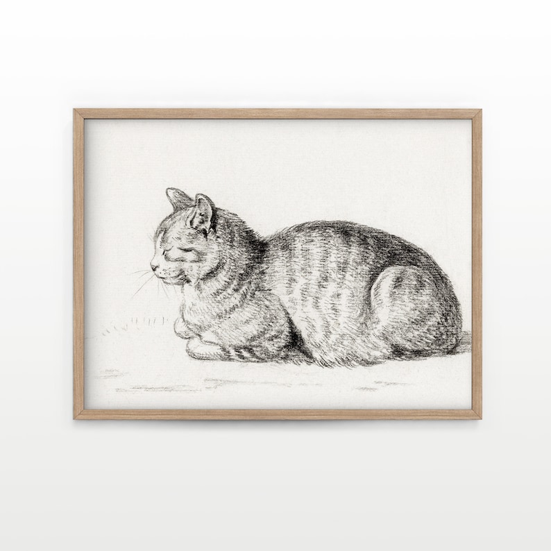 Cat poster. Antique illustration. Hang this wall art in your living room, bedroom, nursery, kitchen or office, high-quality archival paper. Perfect addition for a gallery wall.
