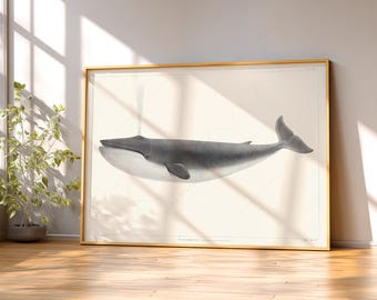 Vintage Whale Illustration Art Print: Nautical Coastal Decor 24