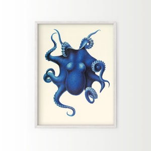 May include: A vintage illustration of a blue octopus with curled tentacles. The octopus is depicted in a detailed, realistic style against a cream background.