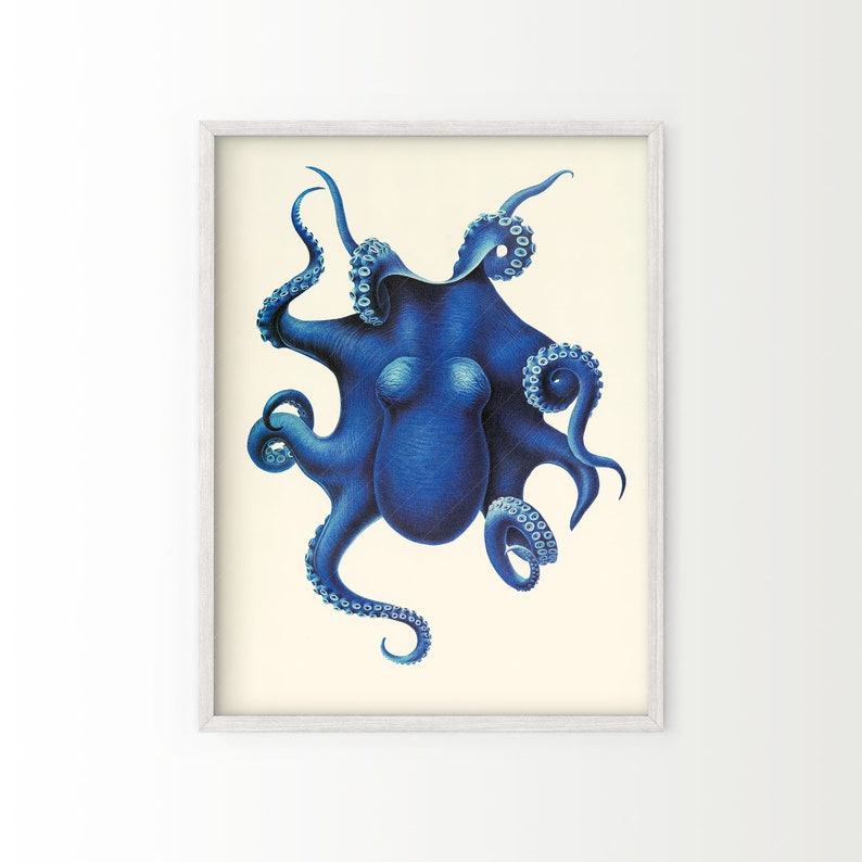 May include: A vintage illustration of a blue octopus with curled tentacles. The octopus is depicted in a detailed, realistic style against a cream background.