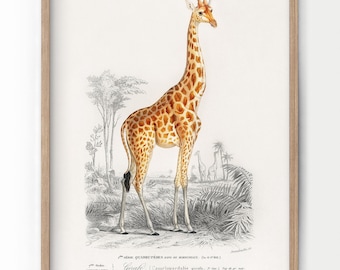 Giraffe Print, Vintage Animal Poster, Nursery Wall Art