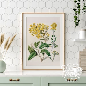 Póster vintage amarillo de flores botánicas, hojas de plantas antiguas, póster tropical, hasta 61 x 91 cm. Regalo para ella, decoración de otoño -31
