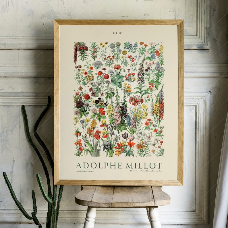 Flower Print, Adolphe Millot Poster, Vintage Flower Poster, Botanical Wall Art, Vintage Plants, Gift Idea image 2