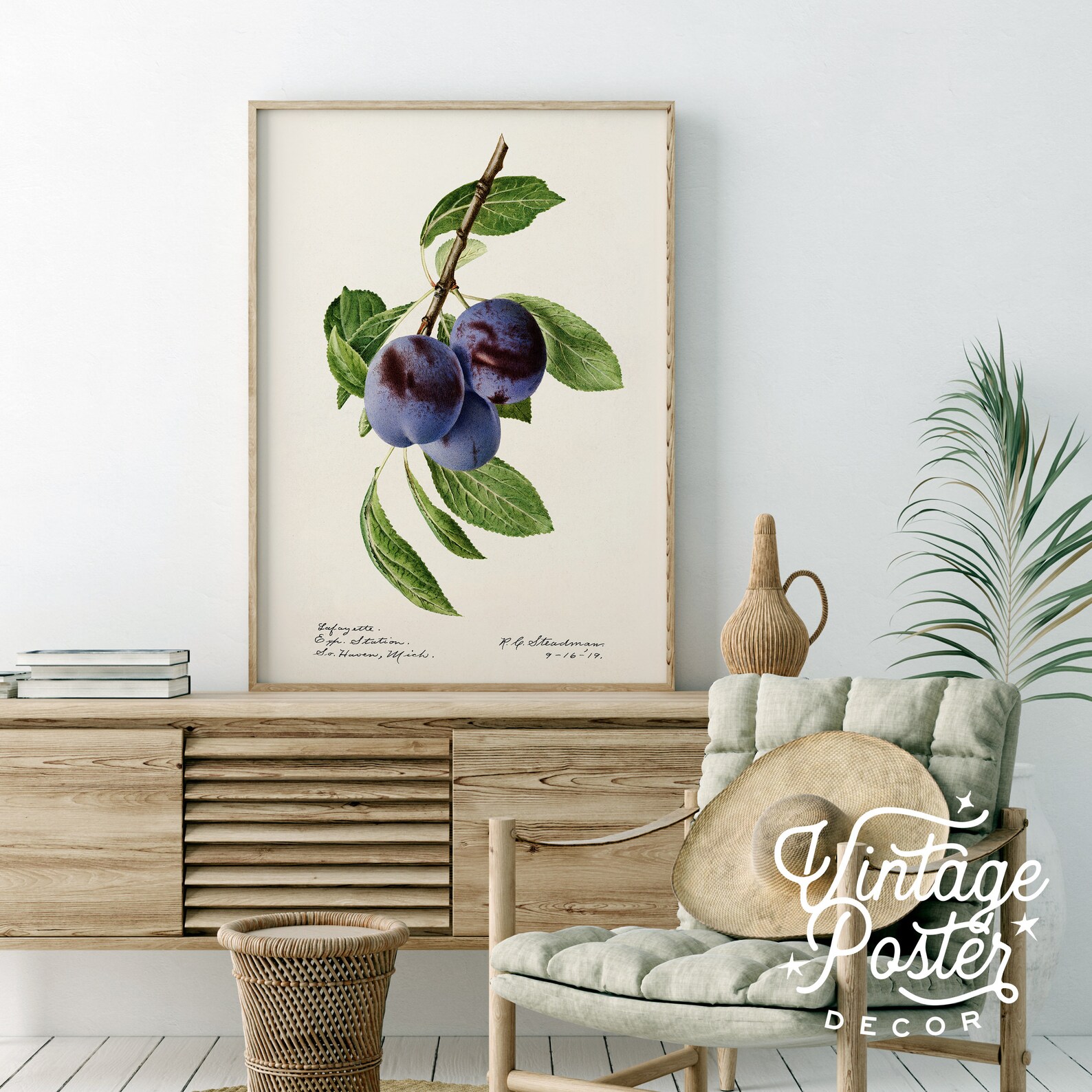 Blueberry Print Vintage Fruit Poster Botanical Fruit - Etsy