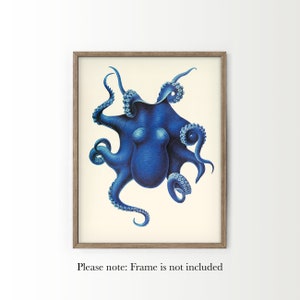 May include: A vintage illustration of a blue octopus with eight tentacles. The octopus is depicted in a detailed and realistic style, with its tentacles curled and extended in various directions. The illustration is set against a white background.