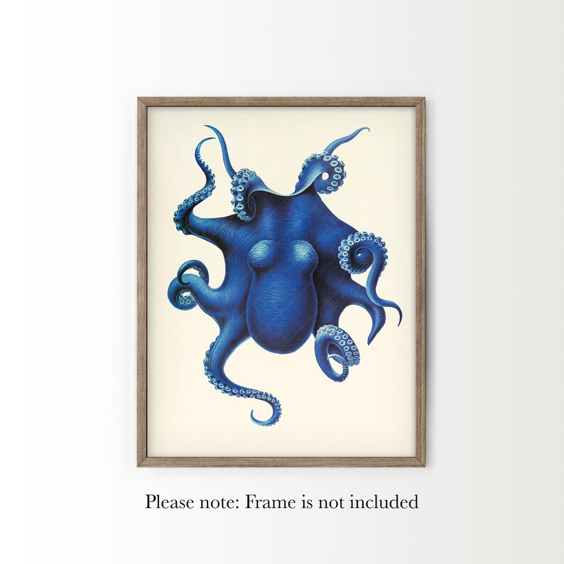 May include: A vintage illustration of a blue octopus with eight tentacles. The octopus is depicted in a detailed and realistic style, with its tentacles curled and extended in various directions. The illustration is set against a white background.