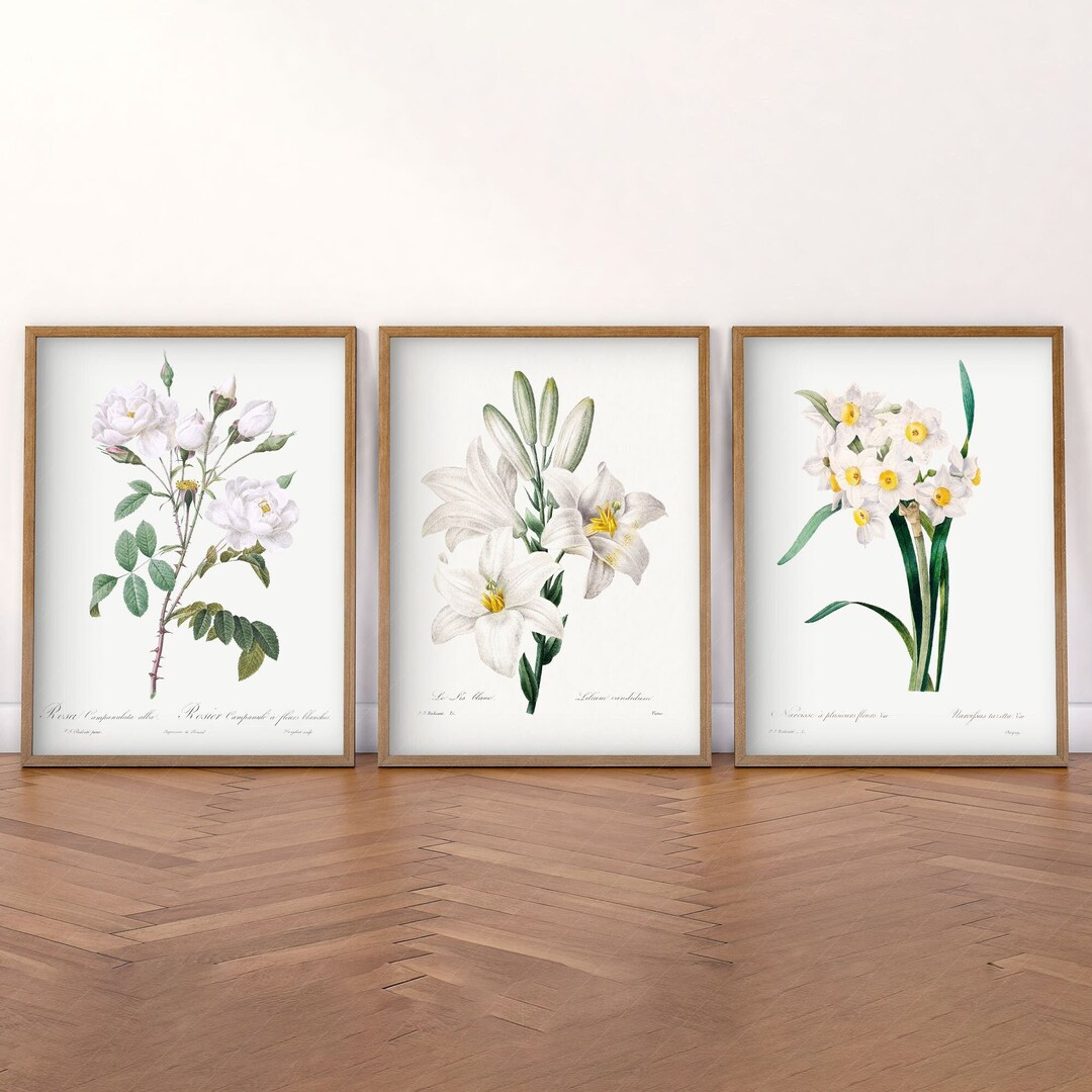 Vintage White Flower Botanical Prints: Gallery Wall Art Set - Etsy