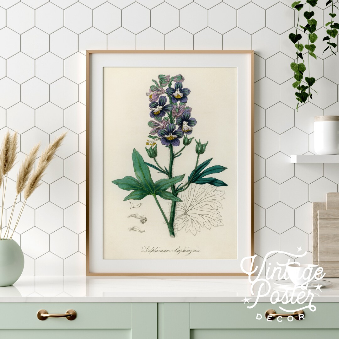 Botanical Floral Art Print, Vintage Flower Poster, Medical Botany ...