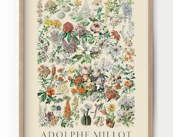 Floral Botanical Print, Garden Art, Adolphe Millot Poster, Vintage Flower, Kitchen Wall Decor, Forest Art, Trees Shrubs, Gift for Her  2