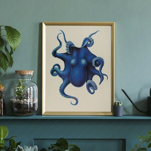 May include: A framed print of a blue octopus with tentacles curled around its body. The octopus is against a white background.