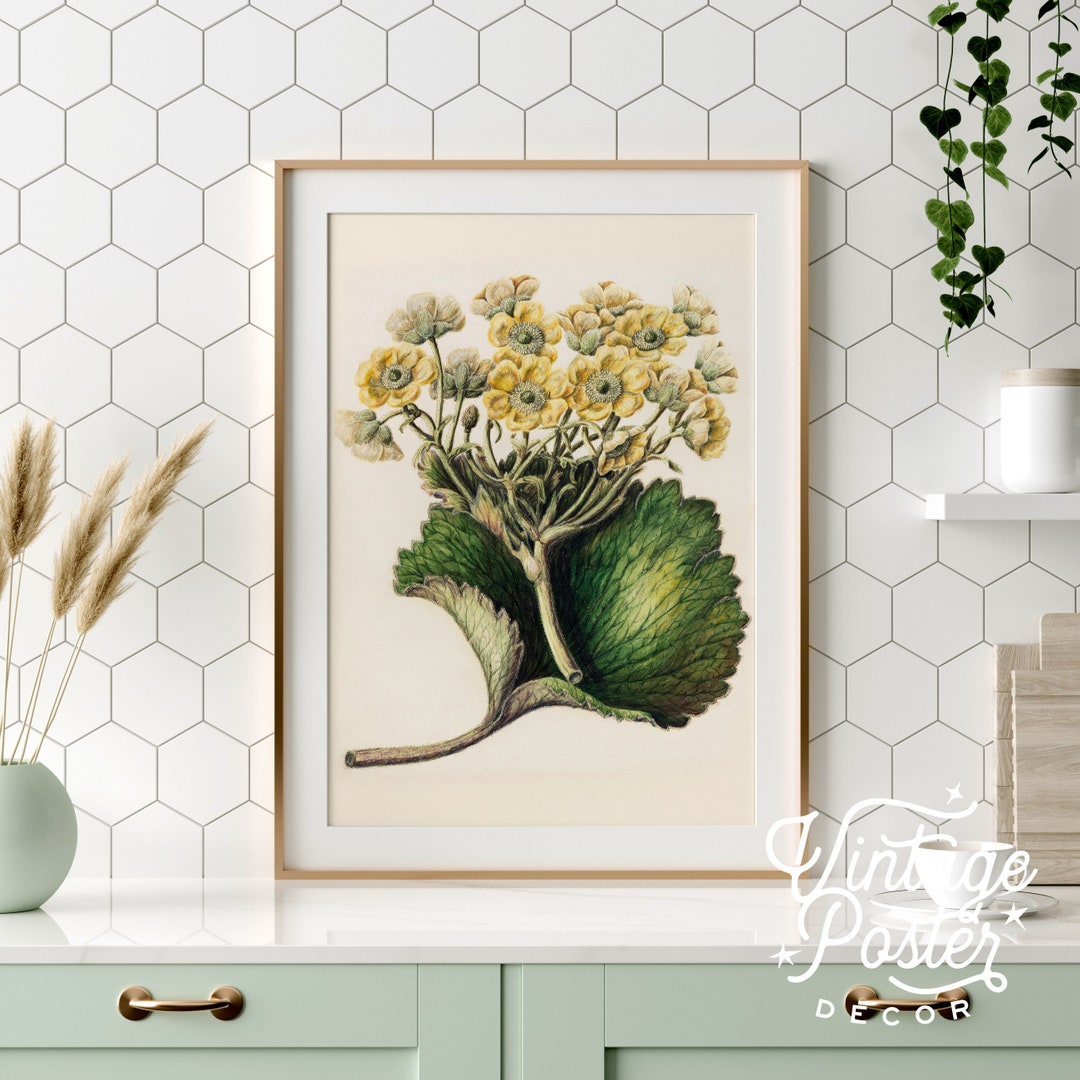 Vintage Botanical Flower Print, Antique Floral Wall Art 21 - Etsy