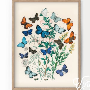 Poster mit Schmetterlingen, Vintage-Wandkunst, Schlafzimmerdekoration, Mädchenzimmerdekoration, Schmetterlingsillustration, botanische Drucke, Geschenkidee für Tochter