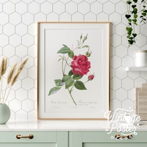 Rose Flower Art, Botanical Art Print, Flower Wall Art, Floral Art Print, Vintage Red Rose Poster, Anniversary Gift, Antique decor