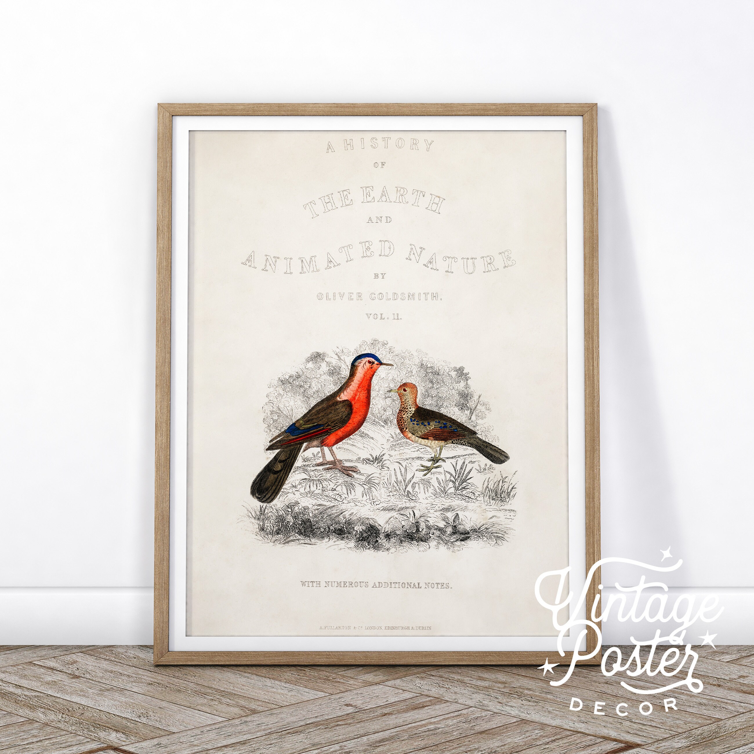 アート・デザイン・音楽 CLASSIC NATURAL HISTORY PRINTS BIRDS Classic Natural History Prints Birds, HCDJ Vintage 1990 1st