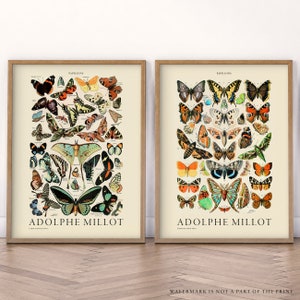 Juego de 2 impresiones, estampado de mariposas, Adolphe Millot, decoración cottagecore, arte de pared para guardería, pintura de naturaleza, arte de papillons, ilustración retro
