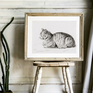 May include: A black and white line drawing of a cat lying down, framed in a light wood frame. The frame is sitting on a white wooden stool.