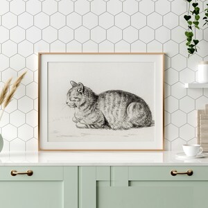 May include: A black and white line drawing of a cat sitting on a white background. The cat is looking to the left and has its tail curled around its body. The drawing is framed in a light wood frame.