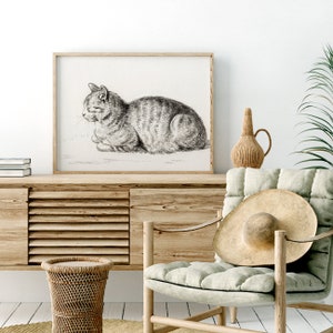 May include: A black and white pencil drawing of a cat lying down. The drawing is framed and hanging on a wall above a wooden cabinet.