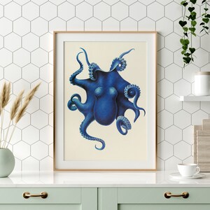 May include: A vintage illustration of a blue octopus with eight tentacles. The octopus is depicted in a detailed and realistic style, with its tentacles curled and extended in various directions. The illustration is set against a white background.